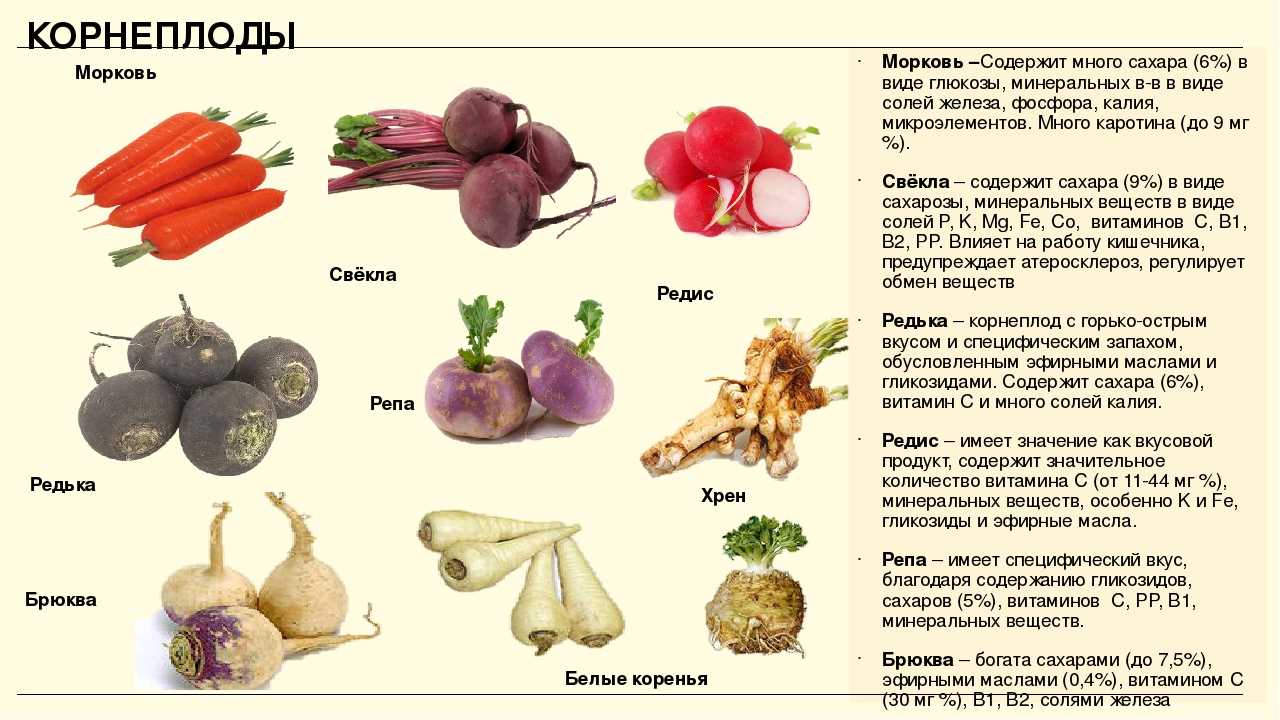 Морковь при беременности: можно ли, польза и вред — selok.info