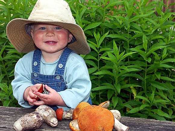 Как правильно кушать грибы при беременности Польза и вред грибов для будущей мамы Каким грибам отдать предпочтение ожидая малыша