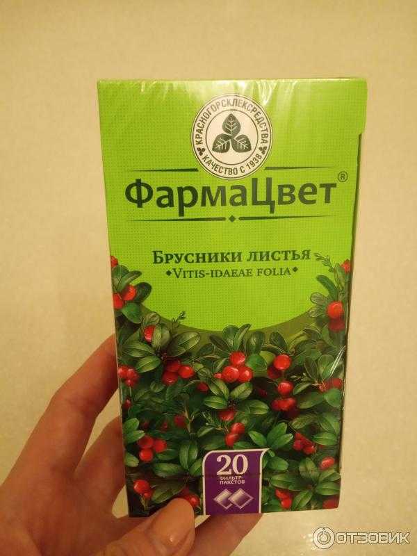 Брусничный лист при беременности. как принимать брусничный лист
