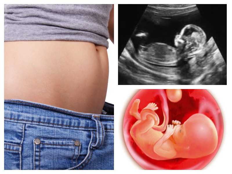 Описание изменений в организме матери и плода на 3 месяце беременности (13 неделя) необходимые обследования и их значение рекомендации и полезные советы