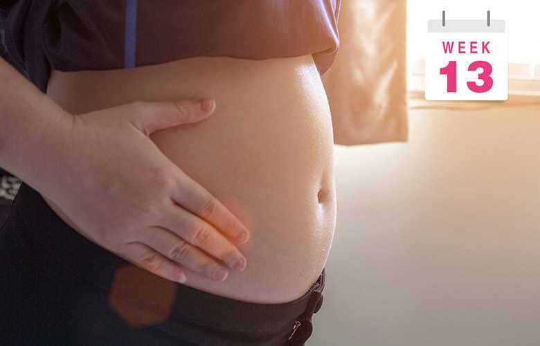 11 неделя беременности — описание периода