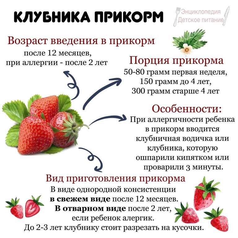 С какого возраста можно давать клубнику детям Польза и вред ягоды Как правильно вводить клубнику в прикорм Как узнать что у ребенка аллергия на клубнику Как выбрать ягоду