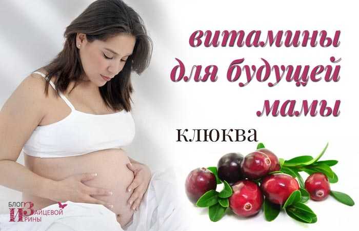 Клюква при беременности | уроки для мам
