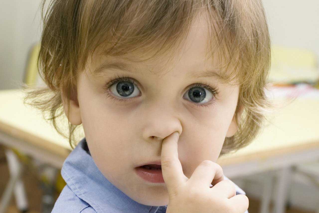 Чем опасна привычка ковырять в носу, плчему ребенок ковыряет в носу, как отучить ребенка ковырять в носу