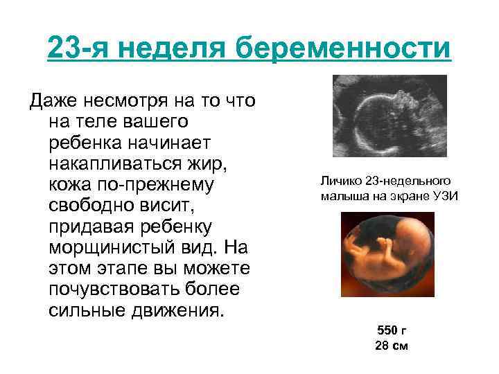 Развитие плода самочувствие беременной 23 неделя беременности: особенности Анализы осмотр Возможные патологии заболевания Образ жизни на сроке 23 недели