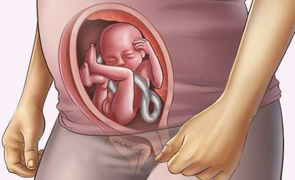 16 неделя беременности: ощущения в животе, что происходит в 16 недель