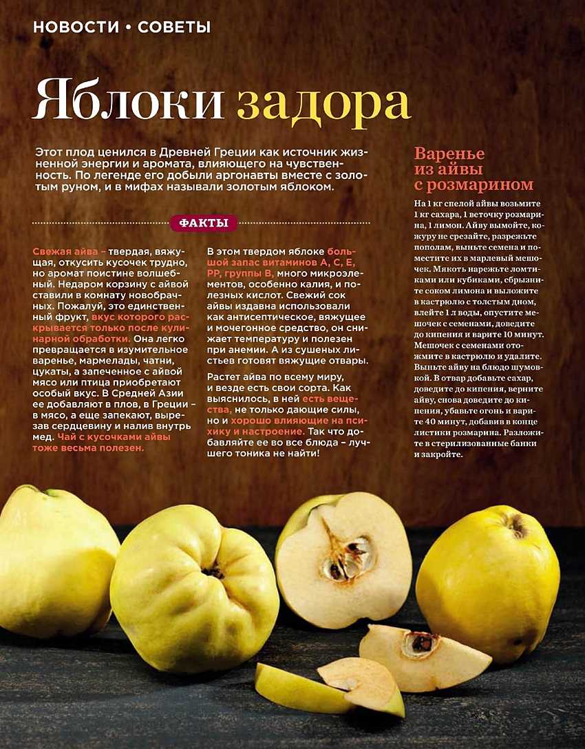 Айва: польза и вред для здоровья, калорийность, как правильно употреблять