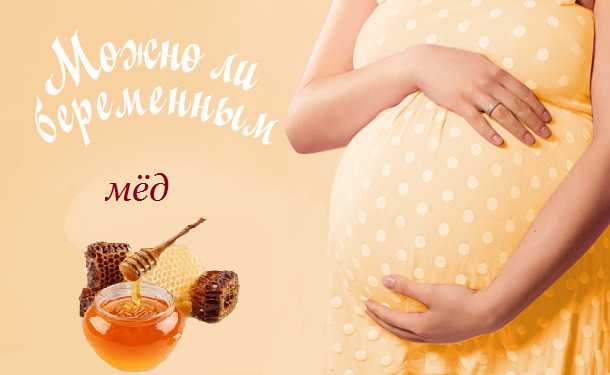 Можно ли кушать мед беременным и есть ли у него противопоказания