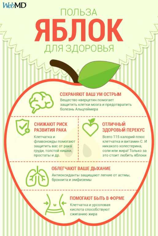 Яблоки: польза и вред для организма человека, состав, калорийность