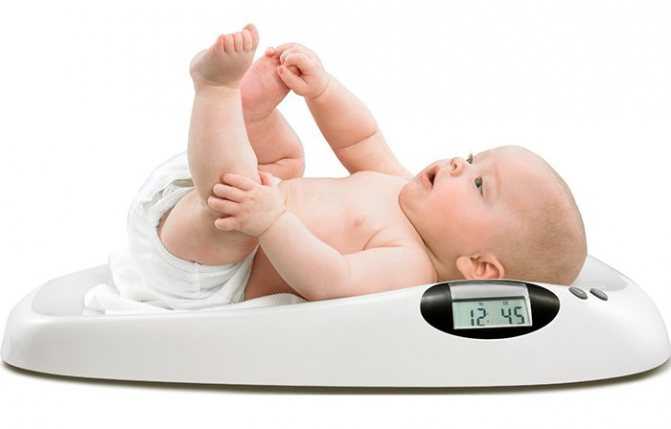 Весы для новорожденных. зачем нужны и какие бывают?