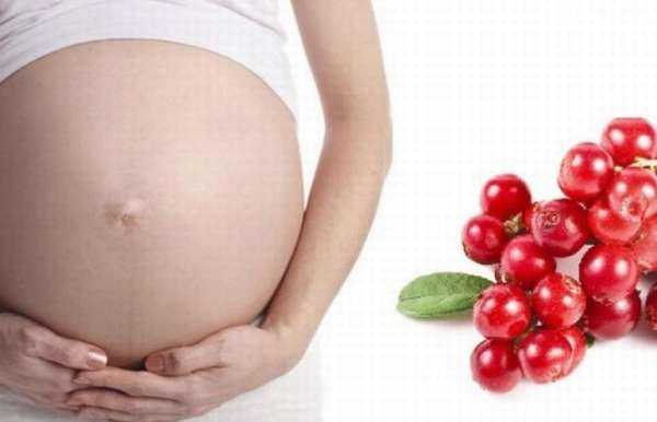 Красная смородина при беременности | уроки для мам