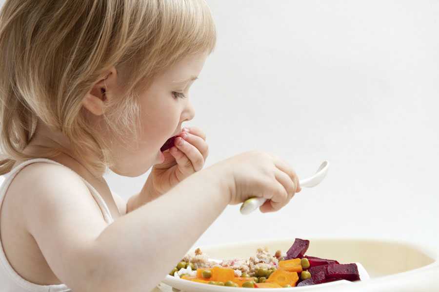 Что делать, если ребенок ничего не ест в 1 год
