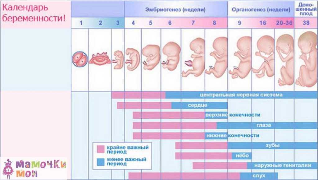 Понос (диарея) при беременности: на ранних сроках, во втором и третьем триместре