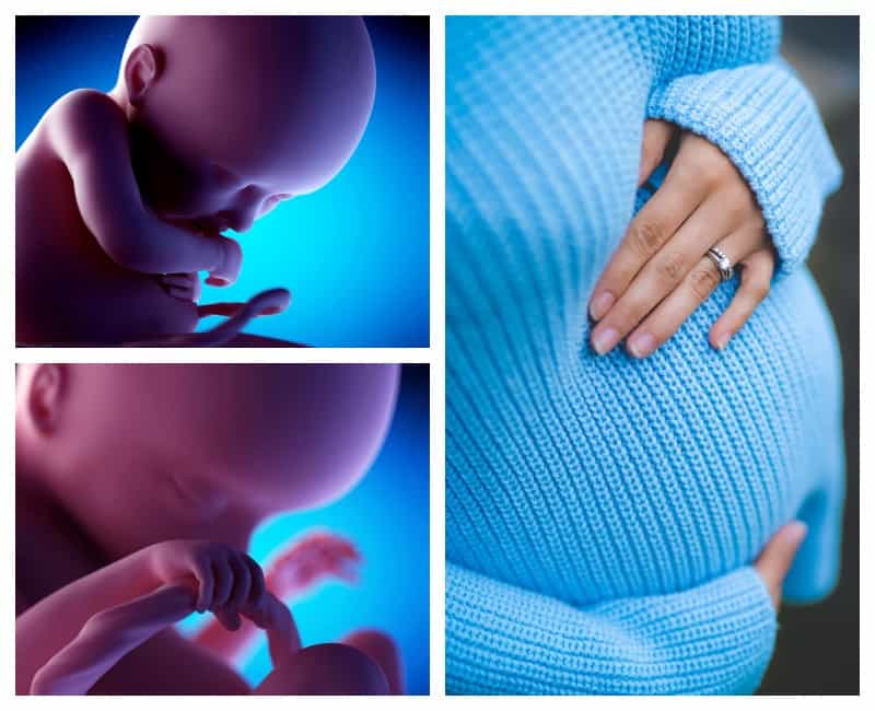 17 неделя беременности: что происходит с малышом, размер плода и живота, шевеления и ощущения мамы, фото узи / mama66.ru