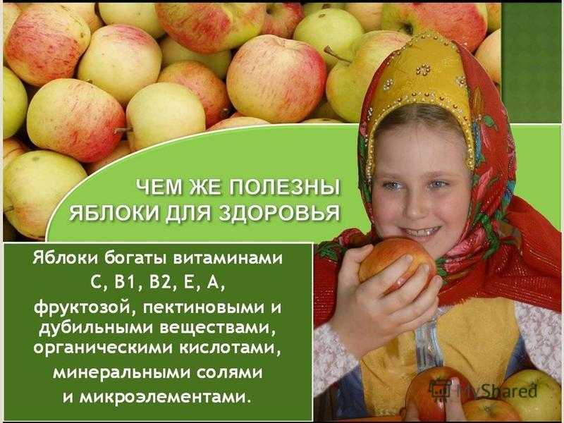 Со скольки месяцев можно давать свежее яблоко ребенку и как приготовить прикорм