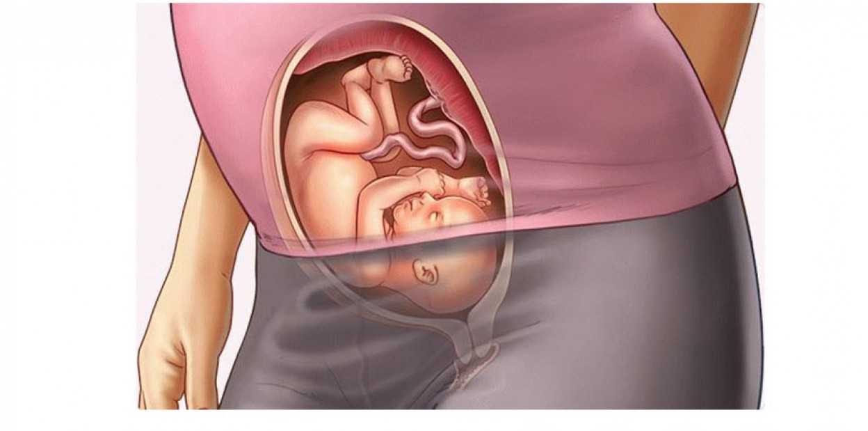 Ребёнок икает в животе при беременности. Ребёнок икает в животе при беременности 3 триместр. 36 Недель беременности ребенок икает. 36 недель икает