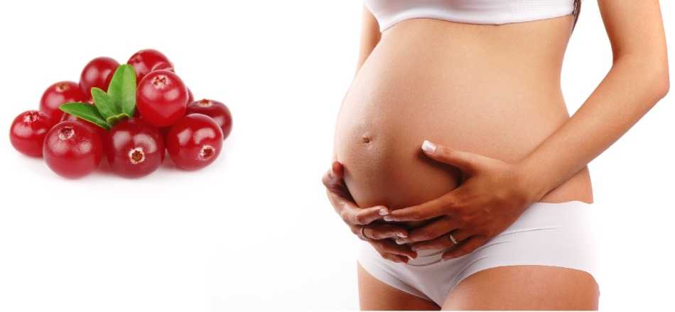 Клюква при беременности: польза и вред, противопоказания, рецепты с ягодой