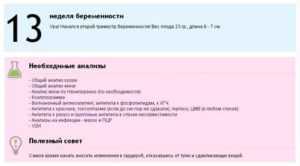 3 триместр беременности: осложнения, преждевременные роды / mama66.ru
