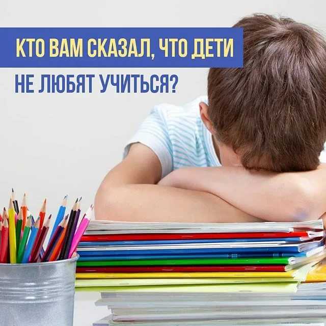 «кукарекал на уроке русского языка». что делать, если в начальной школе ребенок не хочет учиться | православие и мир