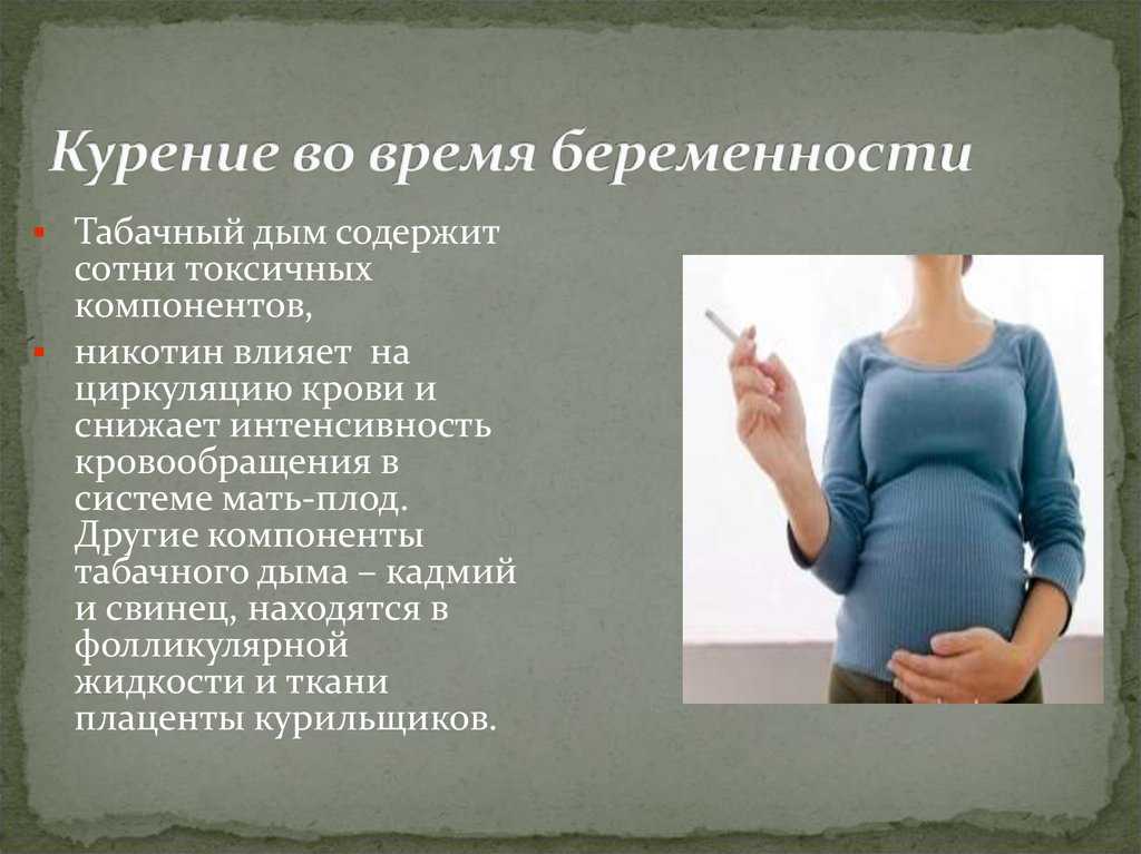 19 неделя беременности: что происходит, фото живота ожидающих девочек
