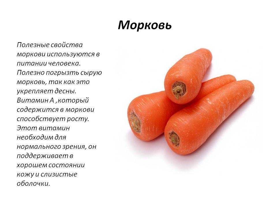 Морковь при беременности: можно ли беременным употреблять в 1, 2, 3 триместрах, какая польза и вред?