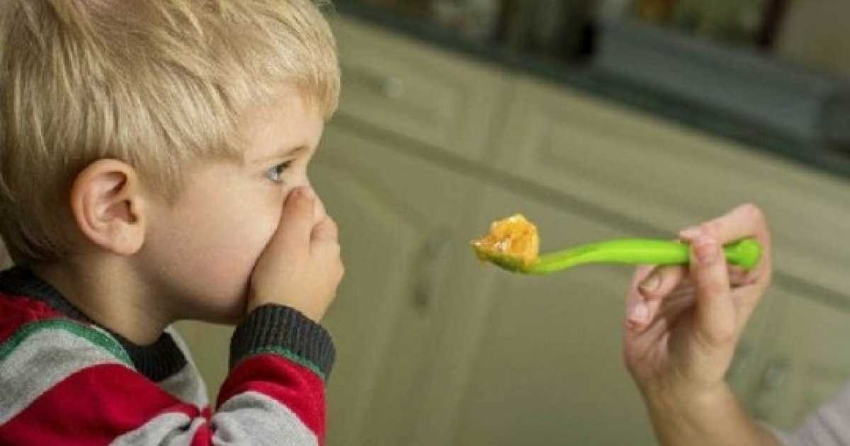 Почему ребенок может утратить аппетит: все возможные поводы для нарушения режима питания