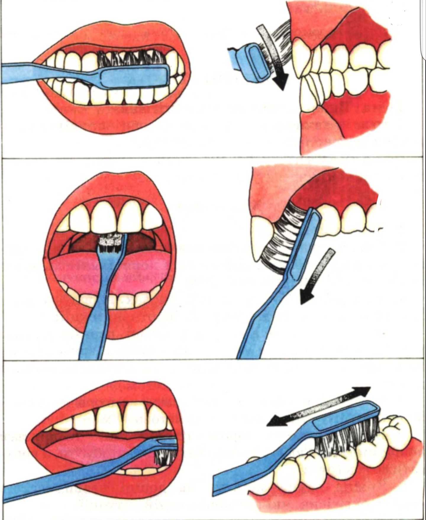 Тест гигиена полости рта. Схема правильной чистки зубов. Алгоритм чистки зубов. Как правильно чистить зубы. Алгоритм чистки зубов для дошкольников.