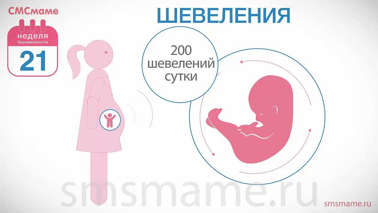 Беременность 3 акушерских недели – развитие плода и ощущения женщины