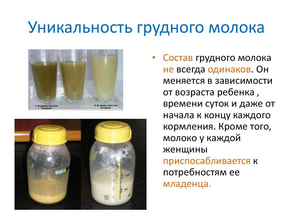 Молозиво после кормления. Как перегорает грудное молоко. Переднее и заднее грудное молоко. Чтобы перегорело грудное молоко. Переднее и заднее молоко при грудном вскармливании.