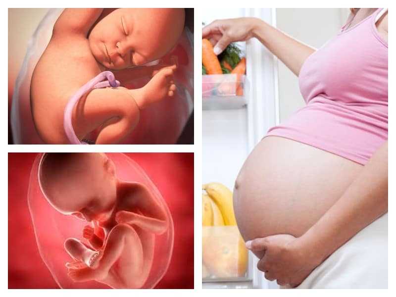 36 неделя беременности - что происходит с плодом и что чувствует женщина в 36 недель