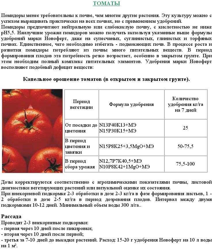 Таблица подкормки томатов. Схема развития томатов. Стадии развития помидора. Томаты этапы развития.