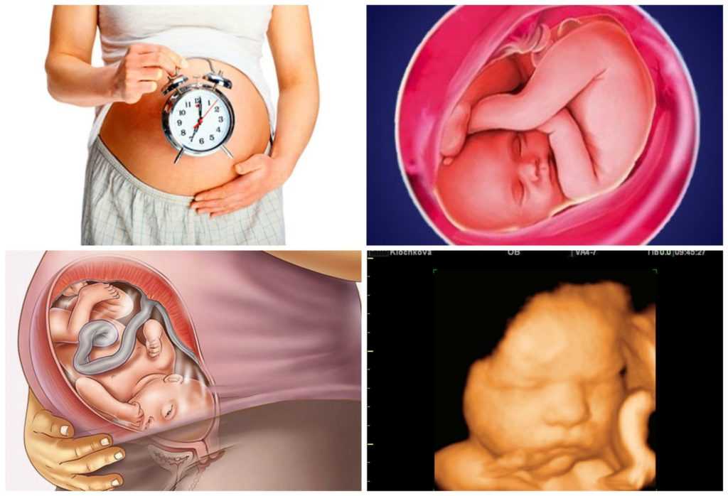 У всех женщин процесс подготовки происходит индивидуально и предвестники родов на 39 неделе беременности лишь показывают Вам что все идет своим чередом