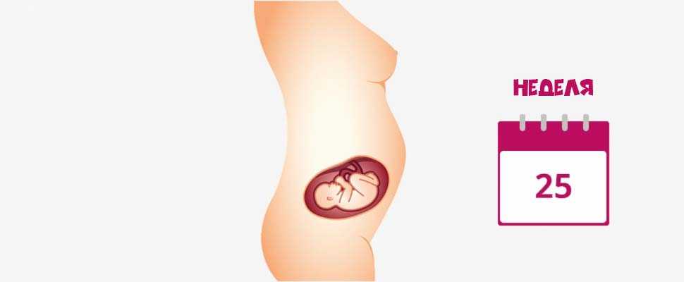 Беременность 27 недель. развитие плода, ощущения женщины, что происходит, фото на узи
