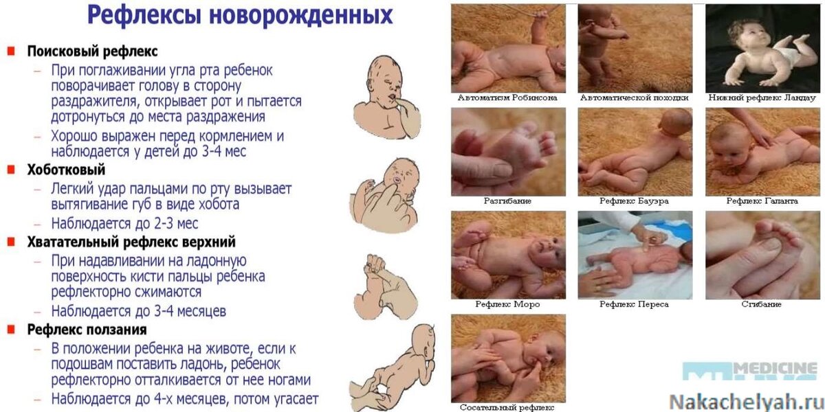 Полезная и занимательная информация о рефлексах новорожденных