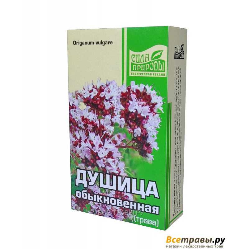 Душица лекарственное сырье. Душица трава орегано. Душица обыкновенная ЛРС. Душица обыкновенная лектрава. Душицы обыкновенной трава препарат.