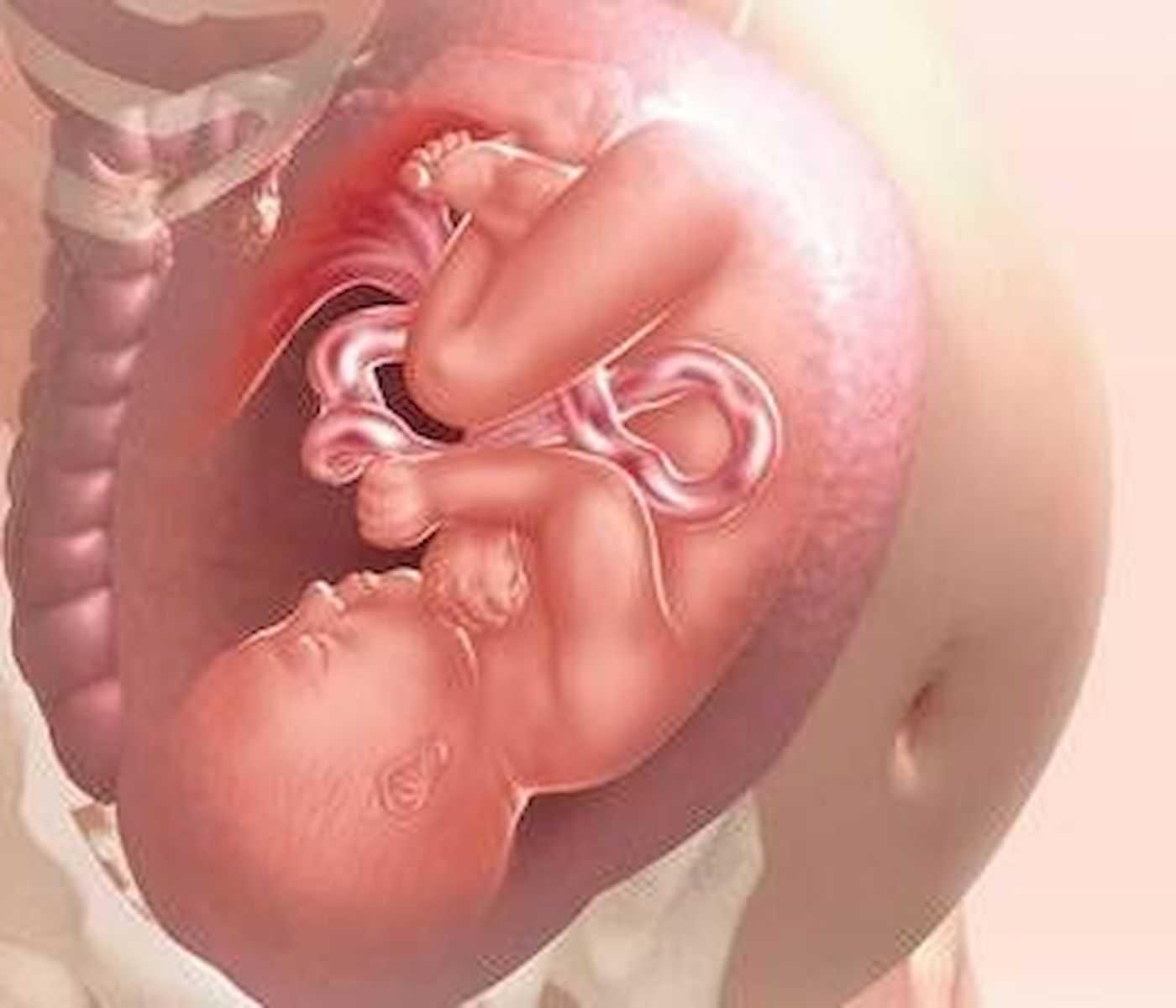Роды на 37 неделе беременности: особенности и мнение врачей, последствия на этом сроке, отзывы
