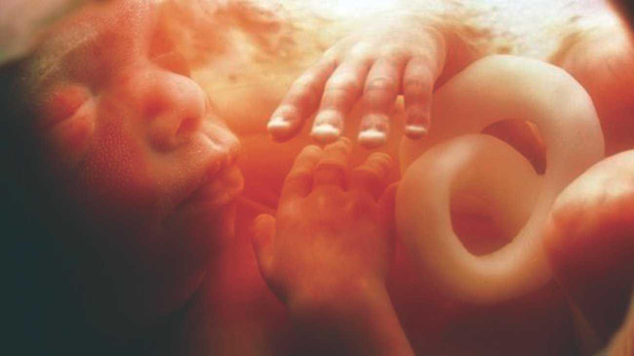 15 неделя беременности: что ожидать и чего бояться в этот период