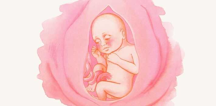 Предвестники родов у первородящих на 37,38,39 неделях: какие первые предвестники родов, как понять, что начались роды