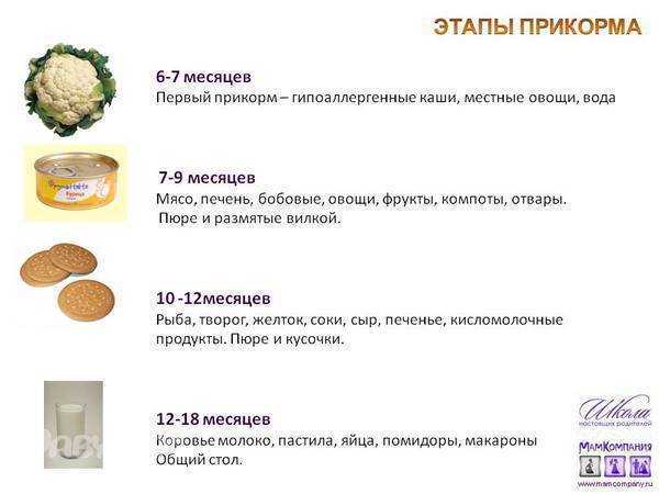 Со Скольки Месяцев Можно Купить