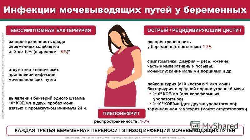 Пиелонефрит при беременности (гестационный): причины, отличительные черты, степени риска, последствия для ребёнка, лечение и другие аспекты