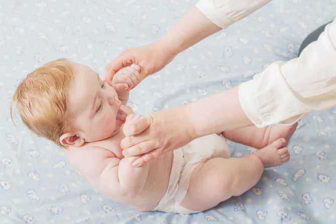 Фенхель для новорождённых | уроки для мам