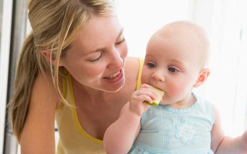 Как научить ребенка жевать кусочки пищи. значение формирования жевательного рефлекса