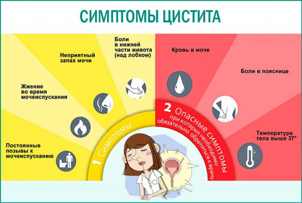 Самое эффективное лечение цистита у женщин препараты схема лечения