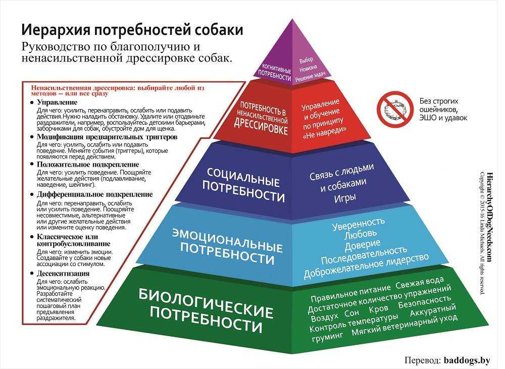 Система богов и демонов