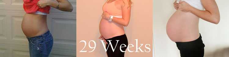 29 неделя беременности / календарь беременности