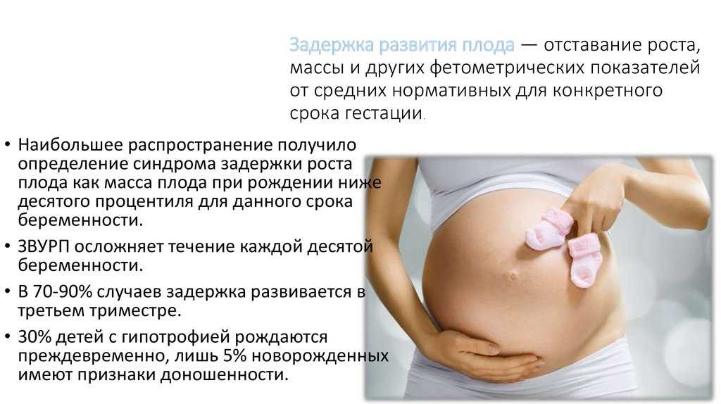 5 неделя беременности - что происходит и как выглядит плод, что видно на узи, выделения