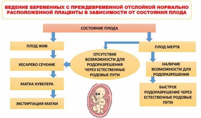 Отслойка плаценты на ранних сроках беременности. причины, симптомы, лечение и профилактика недуга