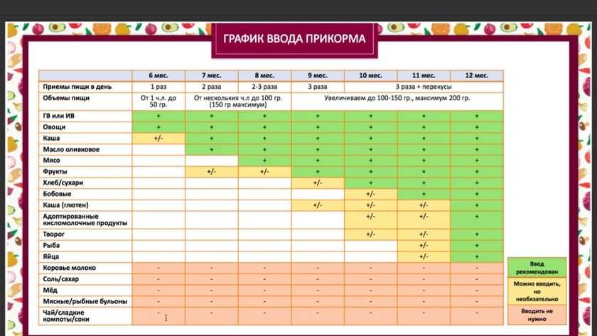 Педагогический прикорм схема