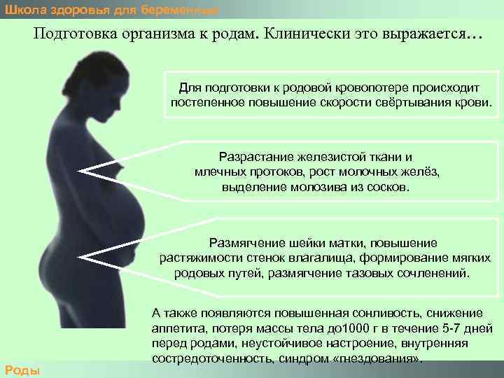 Задача — «созреть» к родам: мифы и правда о подготовке шейки матки
