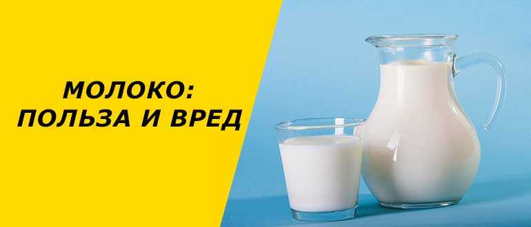 Можно ли молоко с медом при беременности? – польза и вред, рецепты